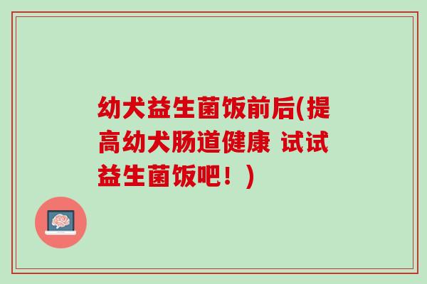 幼犬益生菌饭前后(提高幼犬肠道健康 试试益生菌饭吧!) 幼犬益生菌饭前后(提高幼犬肠道健康 试试益生菌饭吧!)