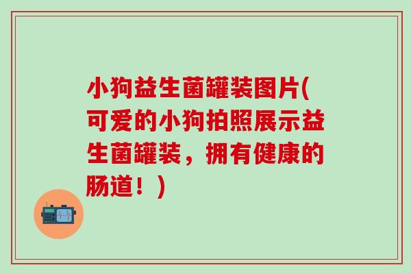 小狗益生菌罐装图片(可爱的小狗拍照展示益生菌罐装，拥有健康的肠道！)
