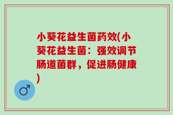 小葵花益生菌药效(小葵花益生菌：强效调节肠道菌群，促进肠健康)