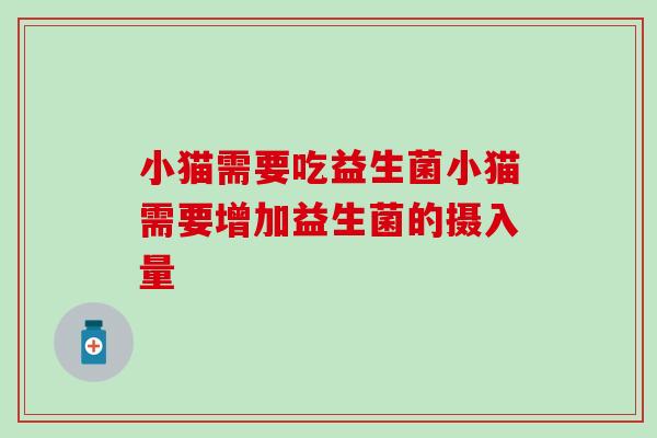 小猫需要吃益生菌小猫需要增加益生菌的摄入量