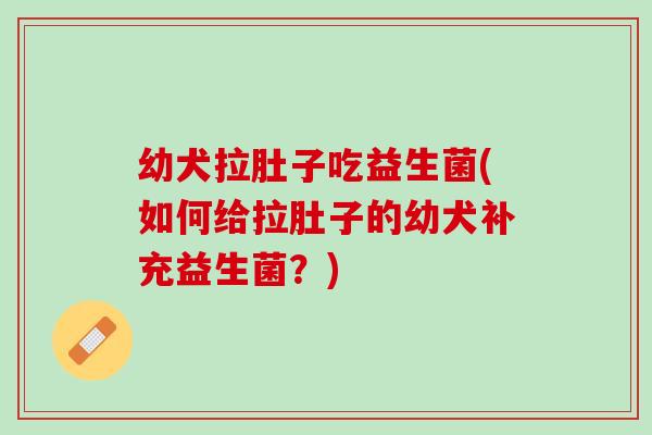 幼犬拉肚子吃益生菌(如何给拉肚子的幼犬补充益生菌？)