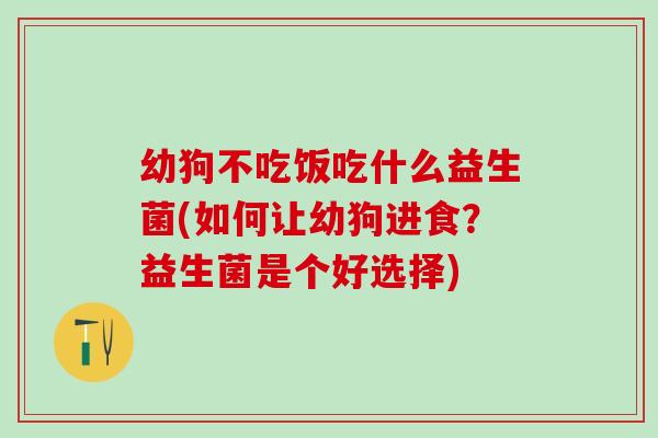 幼狗不吃饭吃什么益生菌(如何让幼狗进食？益生菌是个好选择)