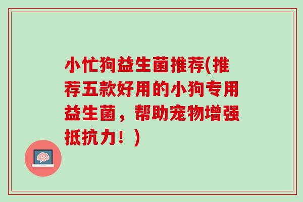 小忙狗益生菌推荐(推荐五款好用的小狗专用益生菌，帮助宠物增强抵抗力！)