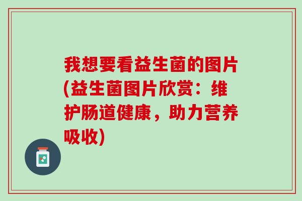 我想要看益生菌的图片(益生菌图片欣赏：维护肠道健康，助力营养吸收)