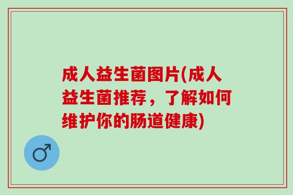 成人益生菌图片(成人益生菌推荐，了解如何维护你的肠道健康)
