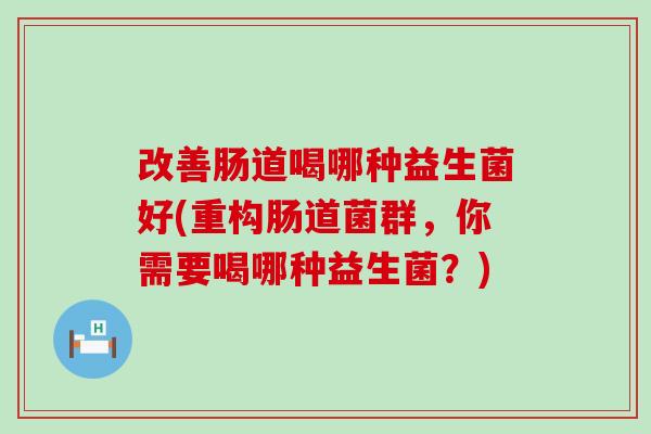 改善肠道喝哪种益生菌好(重构肠道菌群，你需要喝哪种益生菌？)