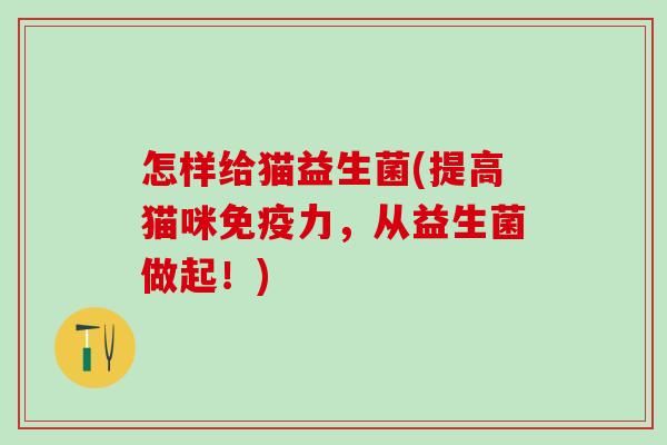 怎样给猫益生菌(提高猫咪免疫力，从益生菌做起！)
