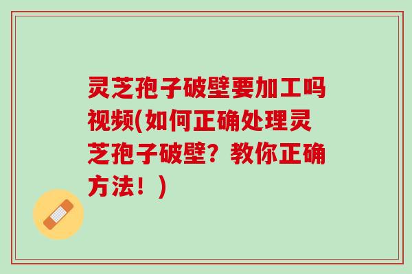 灵芝孢子破壁要加工吗视频(如何正确处理灵芝孢子破壁？教你正确方法！)