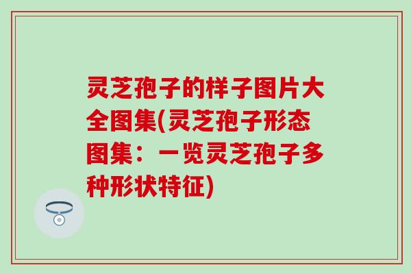 灵芝孢子的样子图片大全图集(灵芝孢子形态图集：一览灵芝孢子多种形状特征)