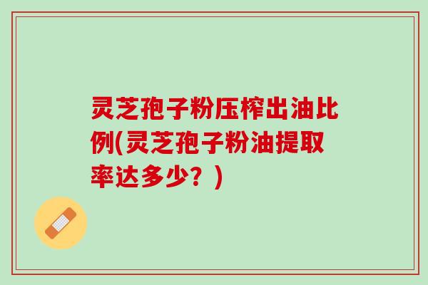 灵芝孢子粉压榨出油比例(灵芝孢子粉油提取率达多少？)