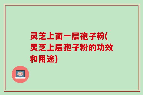 灵芝上面一层孢子粉(灵芝上层孢子粉的功效和用途)
