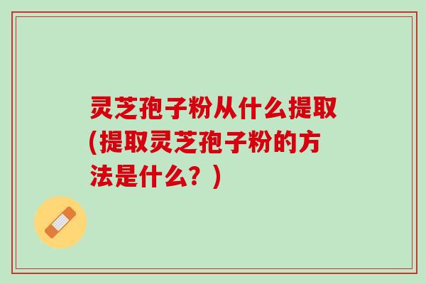 灵芝孢子粉从什么提取(提取灵芝孢子粉的方法是什么？)