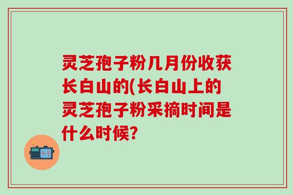 灵芝孢子粉几月份收获长白山的(长白山上的灵芝孢子粉采摘时间是什么时候？