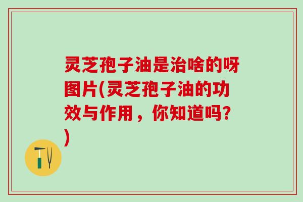 灵芝孢子油是治啥的呀图片(灵芝孢子油的功效与作用，你知道吗？)