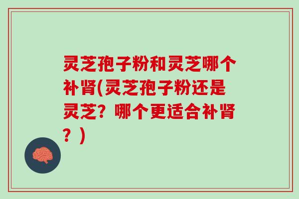 灵芝孢子粉和灵芝哪个补(灵芝孢子粉还是灵芝?哪个更适合补?) 灵芝孢子粉和灵芝哪个补(灵芝孢子粉还是灵芝?哪个更适合补?)