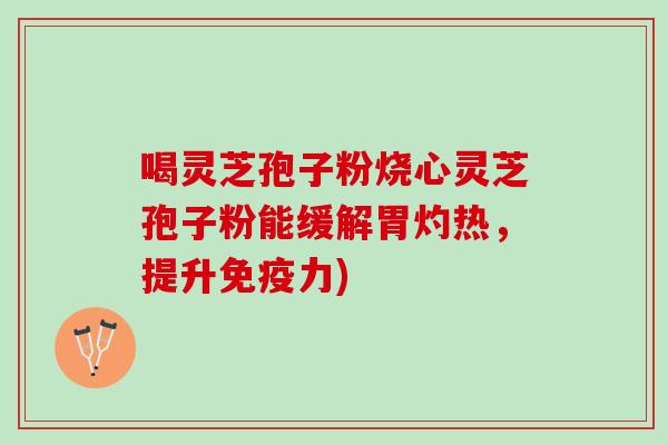 喝灵芝孢子粉烧心灵芝孢子粉能缓解胃灼热，提升免疫力)