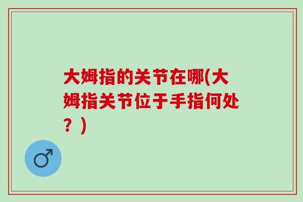 大姆指的关节在哪(大姆指关节位于手指何处？)