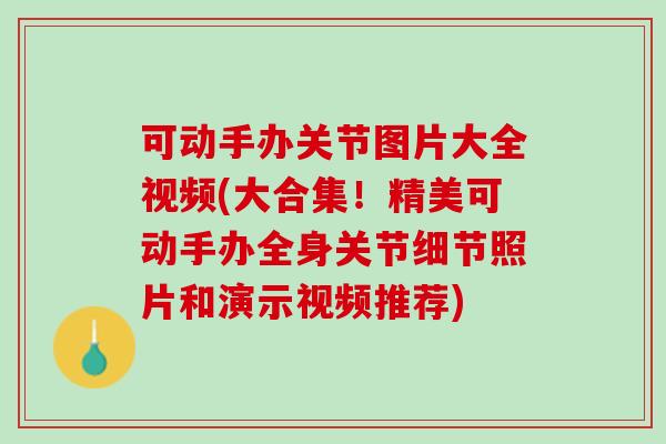 可动手办关节图片大全视频(大合集！精美可动手办全身关节细节照片和演示视频推荐)