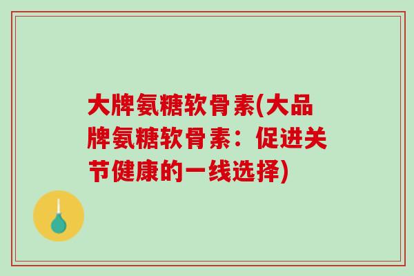 大牌氨糖软骨素(大品牌氨糖软骨素：促进关节健康的一线选择)