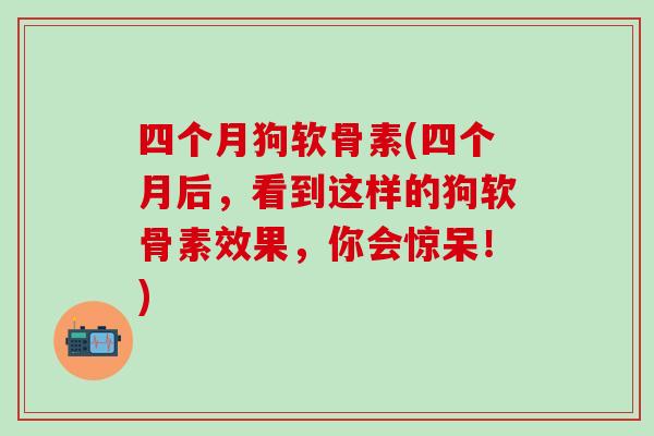 四个月狗软骨素(四个月后，看到这样的狗软骨素效果，你会惊呆！)