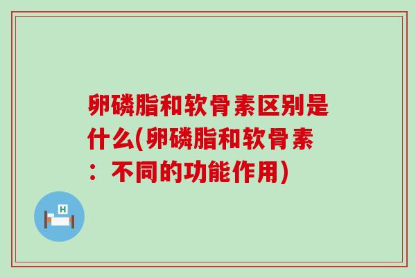 卵磷脂和软骨素区别是什么(卵磷脂和软骨素：不同的功能作用)