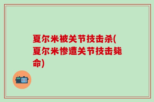 夏尔米被关节技击杀(夏尔米惨遭关节技击毙命)