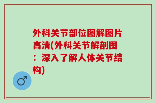 外科关节部位图解图片高清(外科关节解剖图：深入了解人体关节结构)