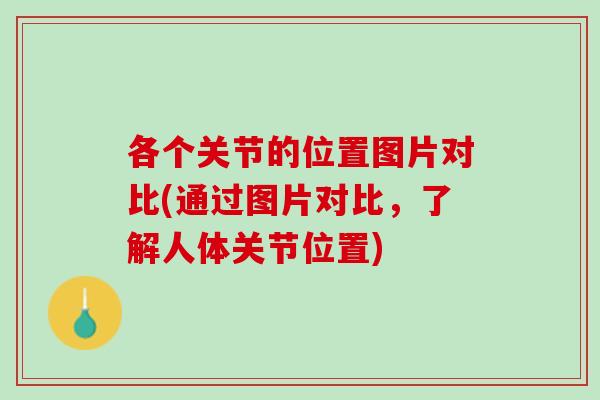 各个关节的位置图片对比(通过图片对比，了解人体关节位置)