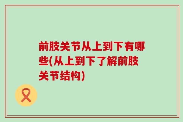 前肢关节从上到下有哪些(从上到下了解前肢关节结构)