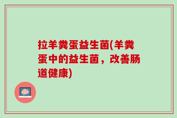 拉羊粪蛋益生菌(羊粪蛋中的益生菌，改善肠道健康)
