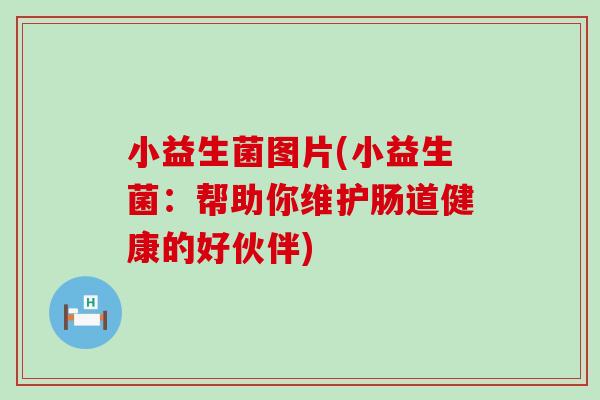 小益生菌图片(小益生菌：帮助你维护肠道健康的好伙伴)