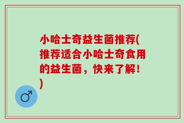 小哈士奇益生菌推荐(推荐适合小哈士奇食用的益生菌,快来了解!) 小哈士奇益生菌推荐(推荐适合小哈士奇食用的益生菌,快来了解!)