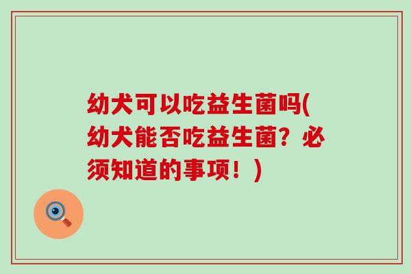 幼犬可以吃益生菌吗(幼犬能否吃益生菌？必须知道的事项！)