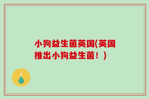 小狗益生菌英国(英国推出小狗益生菌！)