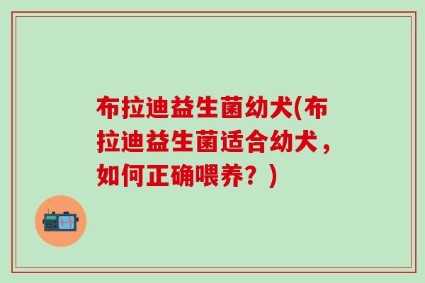布拉迪益生菌幼犬(布拉迪益生菌适合幼犬，如何正确喂养？)
