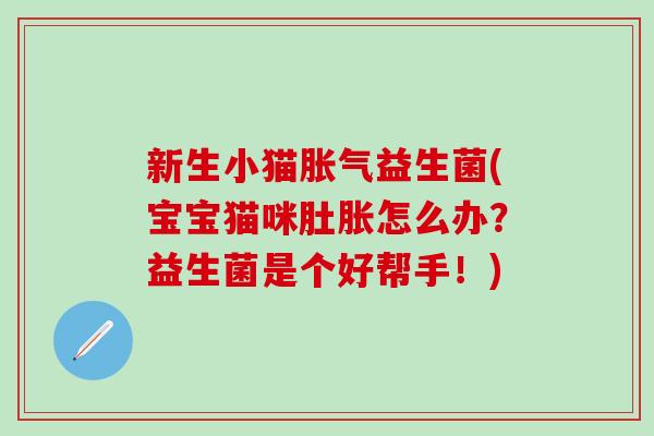 新生小猫胀气益生菌(宝宝猫咪肚胀怎么办？益生菌是个好帮手！)