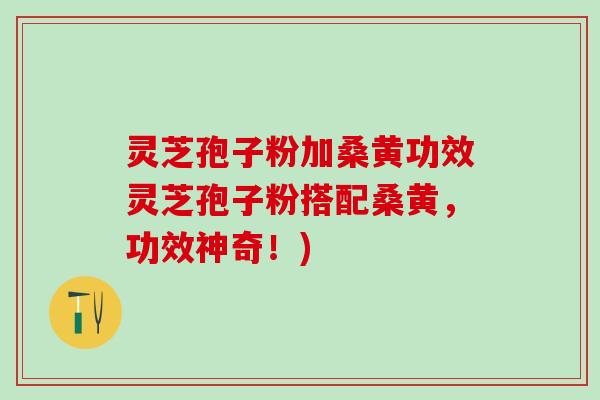 灵芝孢子粉加桑黄功效灵芝孢子粉搭配桑黄，功效神奇！)