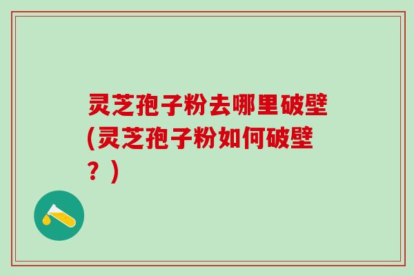 灵芝孢子粉去哪里破壁(灵芝孢子粉如何破壁？)