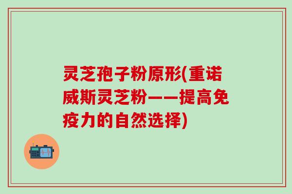灵芝孢子粉原形(重诺威斯灵芝粉——提高免疫力的自然选择)
