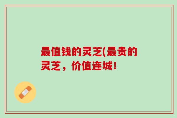 最值钱的灵芝(最贵的灵芝，价值连城！