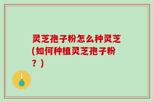 灵芝孢子粉怎么种灵芝(如何种植灵芝孢子粉？)