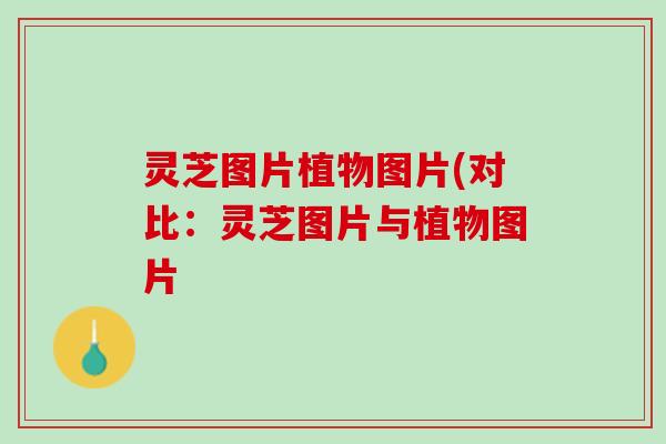 灵芝图片植物图片(对比：灵芝图片与植物图片