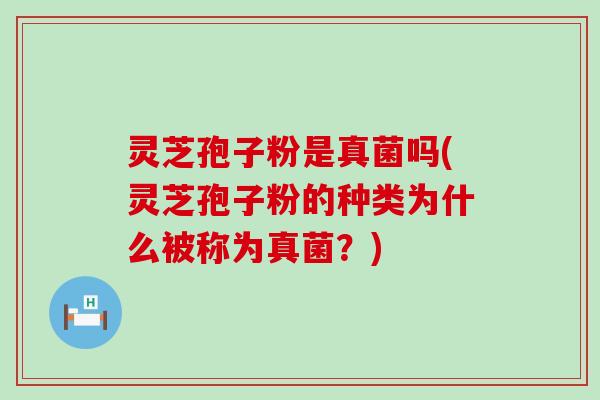 灵芝孢子粉是真菌吗(灵芝孢子粉的种类为什么被称为真菌？)