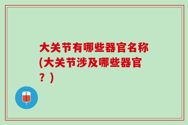 大关节有哪些器官名称(大关节涉及哪些器官？)
