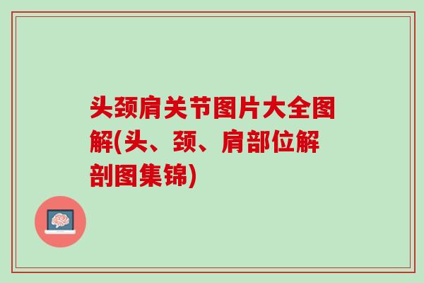 头颈肩关节图片大全图解(头、颈、肩部位解剖图集锦)