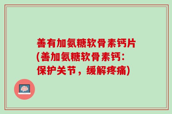 善有加氨糖软骨素钙片(善加氨糖软骨素钙：保护关节，缓解疼痛)