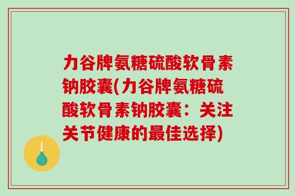 力谷牌氨糖硫酸软骨素钠胶囊(力谷牌氨糖硫酸软骨素钠胶囊：关注关节健康的最佳选择)