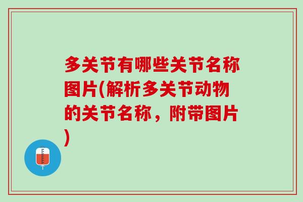 多关节有哪些关节名称图片(解析多关节动物的关节名称，附带图片)