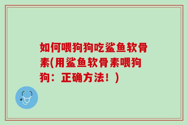 如何喂狗狗吃鲨鱼软骨素(用鲨鱼软骨素喂狗狗：正确方法！)