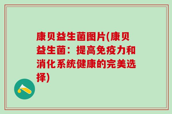 康贝益生菌图片(康贝益生菌：提高免疫力和消化系统健康的完美选择)
